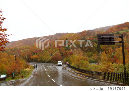 紅葉の酸ヶ湯 紅葉の酸ヶ湯 59137045