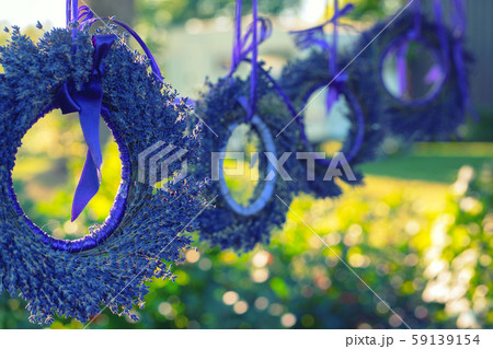 Lavender wreaths in the summer garden 59139154
