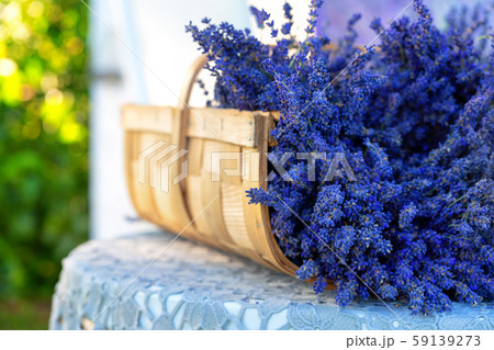Lavender in a wicker basket in summer 59139273