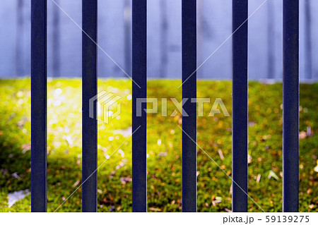 Green grass behind a metal fence 59139275