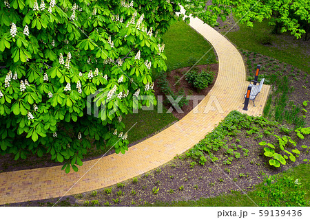 Stone walkway in the spring park 59139436
