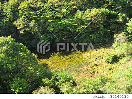 富士六湖赤池-17550 富士六湖赤池-17550 59140156