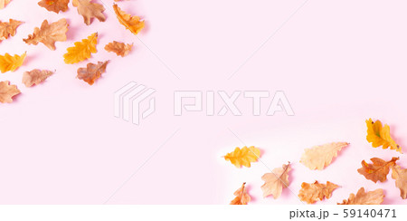 Fall leaves autumn background Fall leaves autumn background 59140471