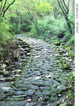 箱根旧街道-17375 59140636