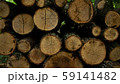 Wood pieces 59141482