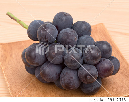 ブドウ　ニューピオーネ 59142538