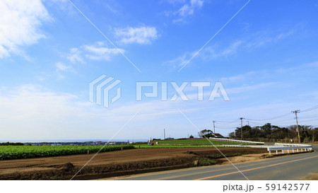 大地の大根（秋） 59142577