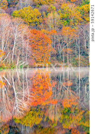 戸隠神社　鏡池　紅葉　秋　【長野県】 59142671