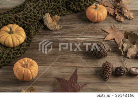 wooden table decorated with pumpkins and dried 59143166