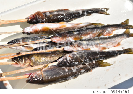 アユの塩焼き　高尾野町　出水市　鹿児島県 59145561