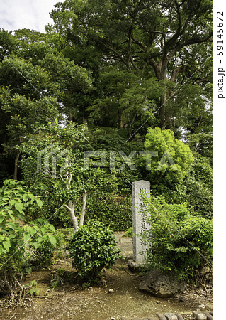 川越城　富士見櫓跡　埼玉県川越市 59145672