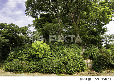 川越城 富士見櫓跡 埼玉県川越市 川越城 富士見櫓跡 埼玉県川越市 59145674