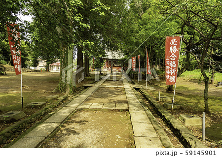 川越城本丸御殿　三芳野神社　参道　埼玉県川越市 59145901