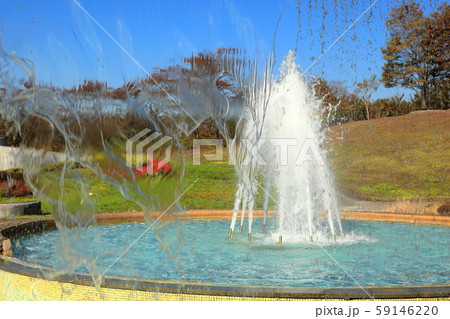 国営みちのく杜の湖畔公園 59146220