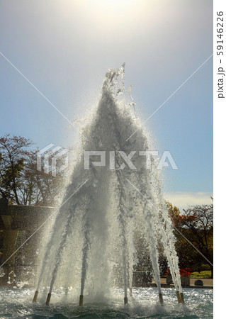 国営みちのく杜の湖畔公園 59146226