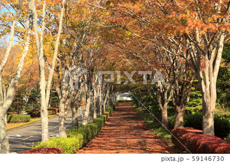 国営みちのく杜の湖畔公園 59146730