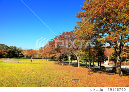 国営みちのく杜の湖畔公園 59146740