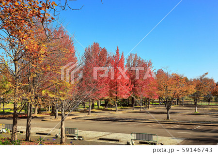 国営みちのく杜の湖畔公園 国営みちのく杜の湖畔公園 59146743