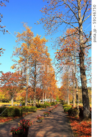 国営みちのく杜の湖畔公園 59146750