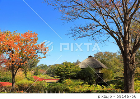 国営みちのく杜の湖畔公園 59146756