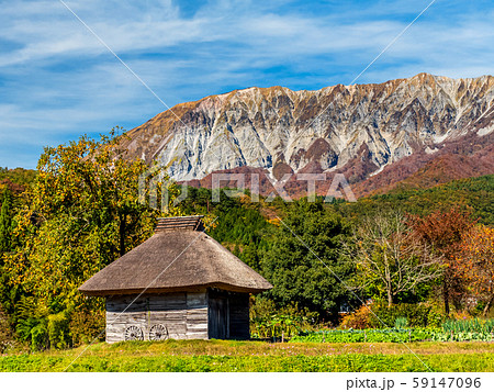 秋の大山　茅葺屋根と大山 59147096