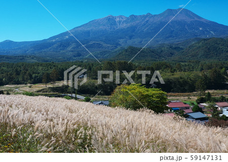 ススキの国道から御嶽山を望む 59147131