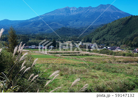 ススキの国道から御嶽山を望む ススキの国道から御嶽山を望む 59147132