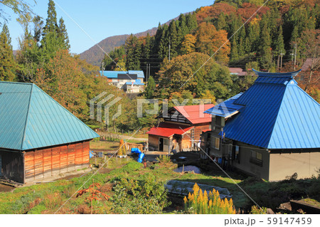 秋山郷　小赤沢集落の秋 59147459