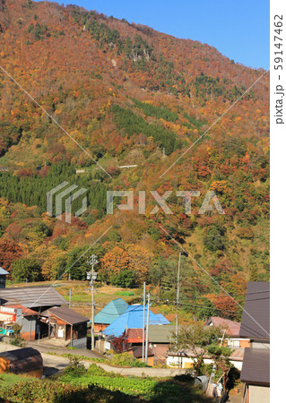 秋山郷　小赤沢集落の秋 59147462