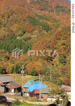 秋山郷　小赤沢集落の秋 59147463