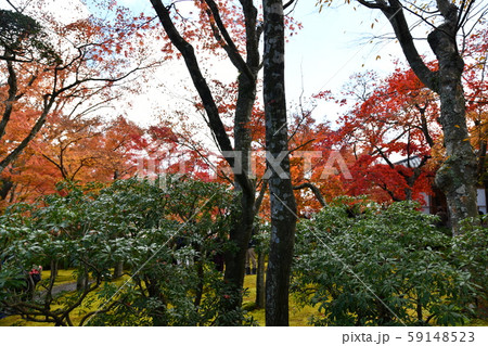 箱根の秋 箱根の秋 59148523