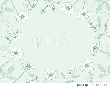 ペン画の植物のフレーム ペン画の植物のフレーム 59148943