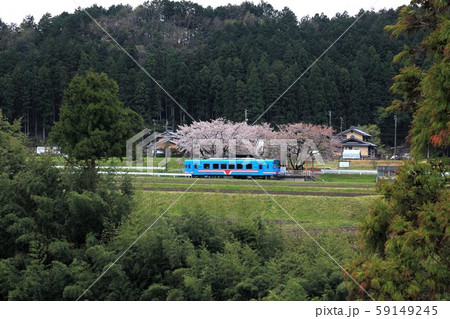 花桃の里・55(岐阜県本巣市佐原) 花桃の里・55(岐阜県本巣市佐原) 59149245