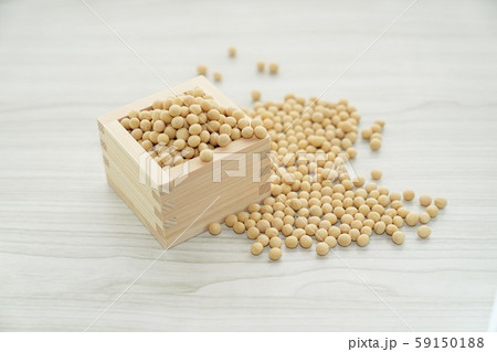 大豆　マス 59150188