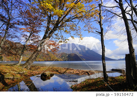 10月　日光324千手ヶ浜の紅葉･中禅寺湖と男体山 59150472