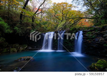 《大分県 九重連山》 暮雨の滝と紅葉 59150957