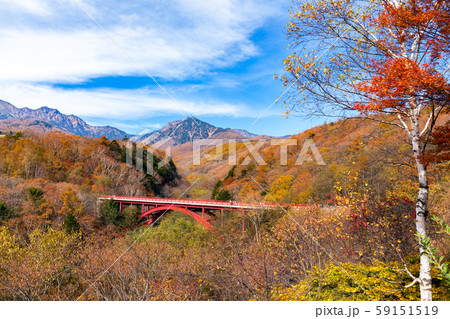 清里、赤い橋、東沢大橋、紅葉、秋、東沢大橋展望台 59151519
