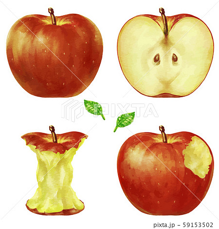 赤い林檎 りんご リンゴ イラストのイラスト素材 59153502 Pixta