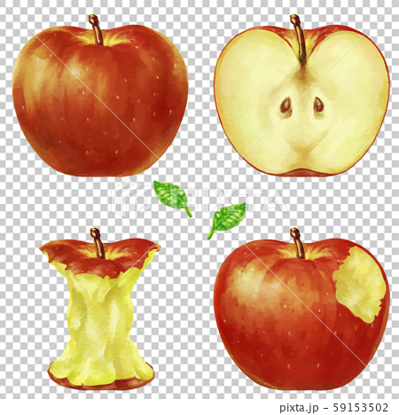赤い林檎 りんご リンゴ イラストのイラスト素材