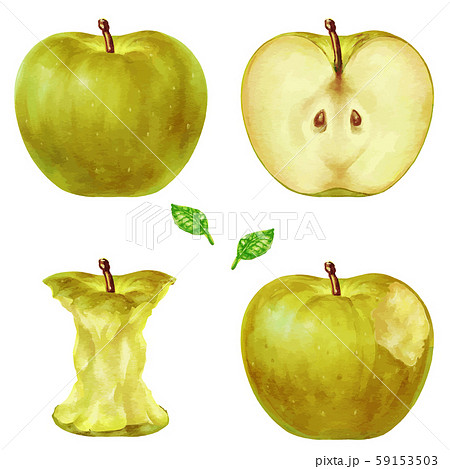 黄色い林檎　りんご　リンゴ　イラスト 59153503