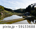 新潟の田園風景 59153688