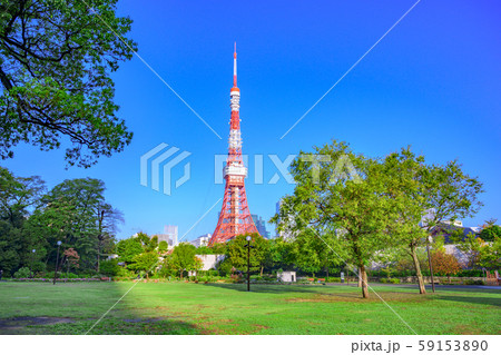 東京　芝公園　芝広場 59153890