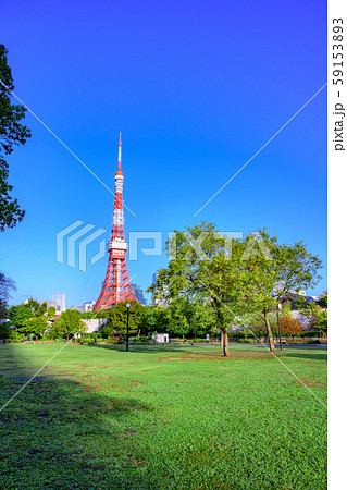 東京 芝公園 芝広場 東京 芝公園 芝広場 59153893