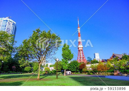 東京 芝公園 芝広場 東京 芝公園 芝広場 59153896