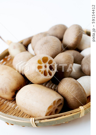 大黒本シメジ レンコン 大黒本シメジ レンコン 59154412