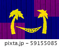beach hammock hanging on a palm tree 59155085