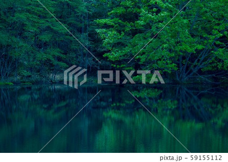 リフレクション リフレクション 59155112