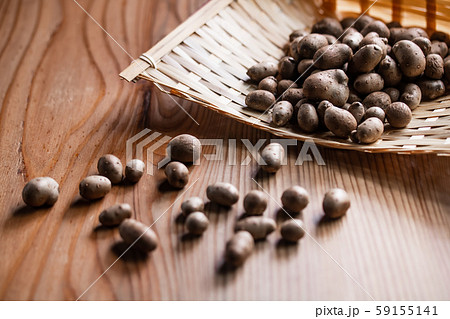 むかご むかご 59155141