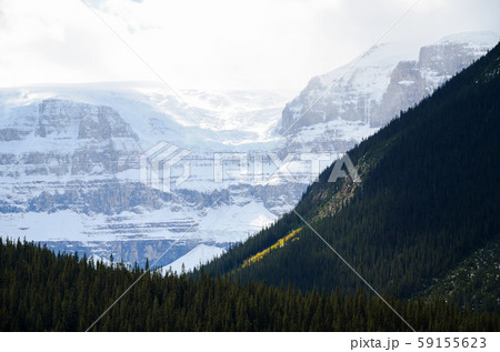 秋のカナディアンロッキーの山並みと氷原　ーアイスフィールド・パークウェイにて（カナダ・アルバータ州） 59155623