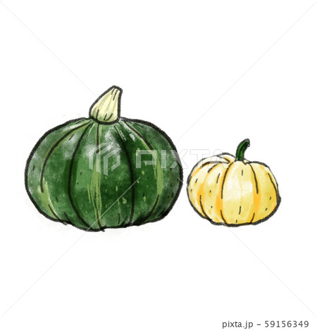 手描き かぼちゃ 手描き かぼちゃ 59156349
